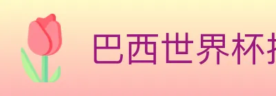 巴西世界杯投注入口 logo